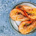 Cordelia Köpek Somonlu — omega-3 zengini